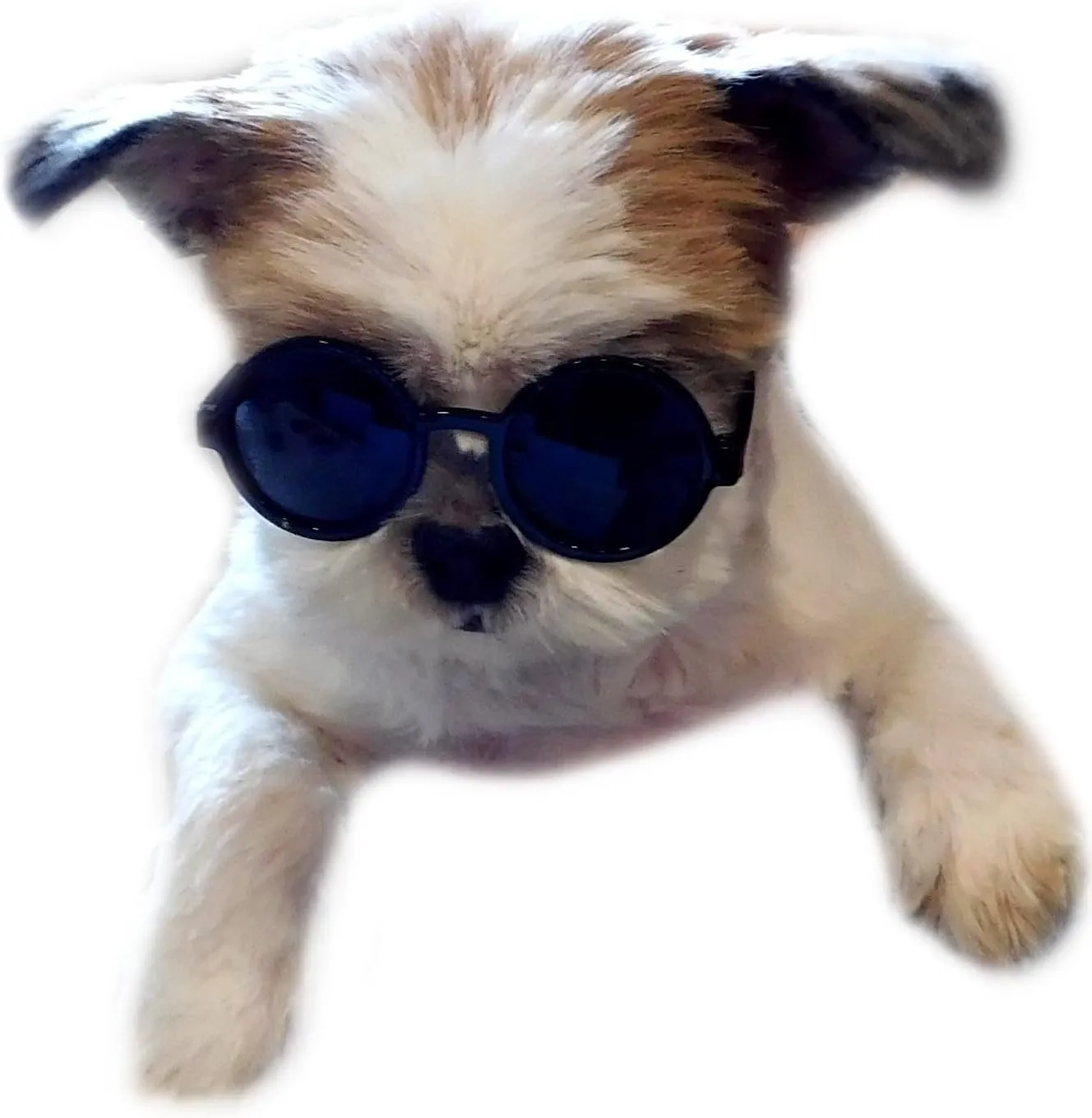 G016 Dog Cat Pet Round Sunglasses Goggles for Small Breed Dogs up to 15lbs (2-Pack Black   Pink)