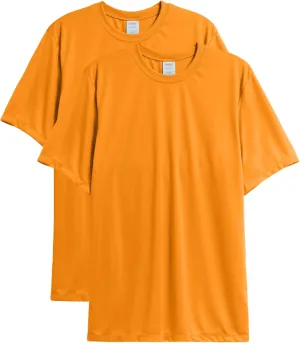 Hanes Men's T-shirt Pack, Cool Dri Moisture-wicking Performance T-shirt, Performance Tee, 40  Upf Protection, 2-pack