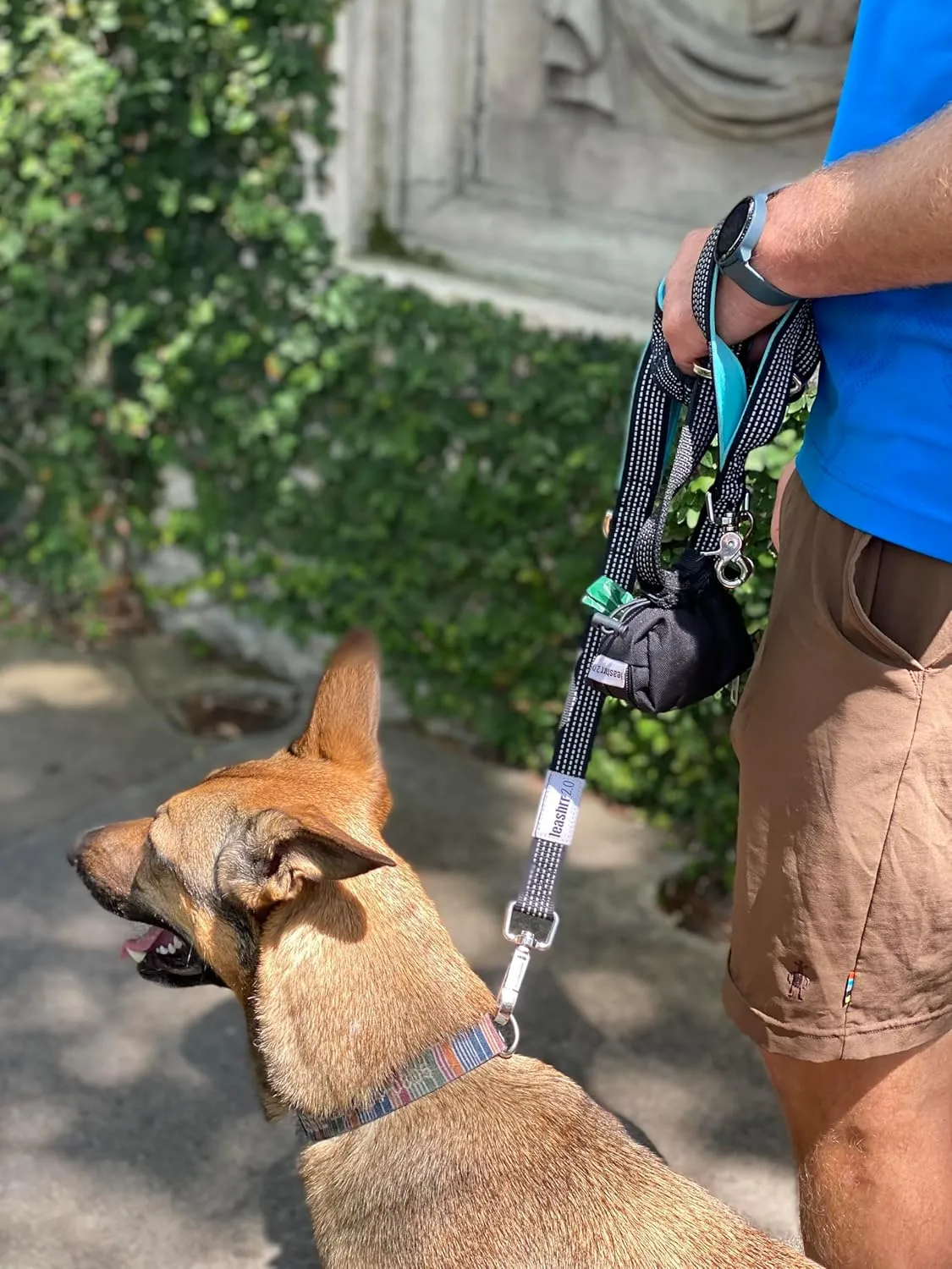 Heavy Duty Dog Leash for Large Dogs That Pull - Strong Bungee, 4 Padded Handles, 6ft, Poop Bag Holder with Treat Pouch, Highly Reflective, Multi Use Clips and Rings. by Leashrr 2.0 (Red)